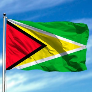 Bandera de Guyana