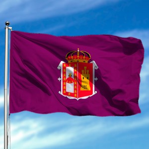 Bandera de Burgos