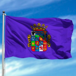 Bandera de Palencia