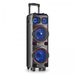 Altavoz Portátil NGS Wild Dub 1 Bluetooth 300W